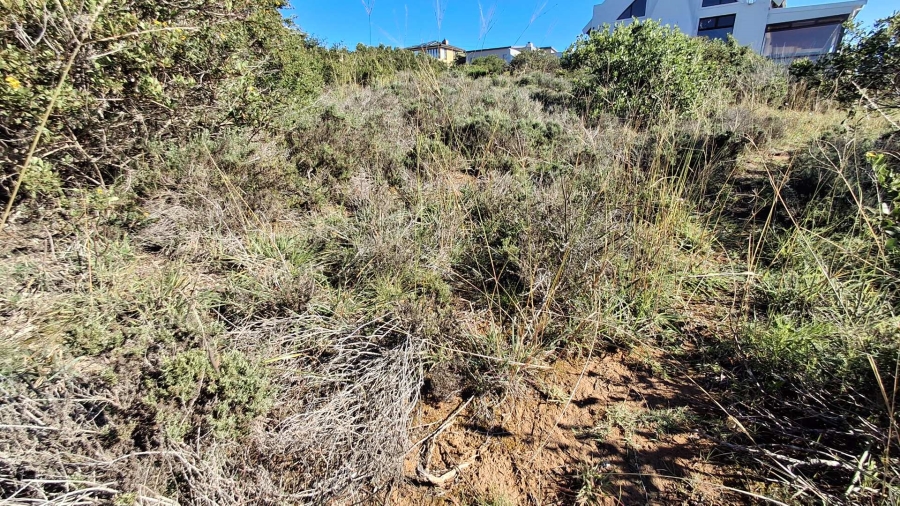 0 Bedroom Property for Sale in Vleesbaai Western Cape